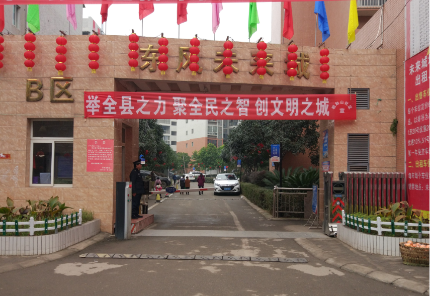 蓬安东风未来城工程改造